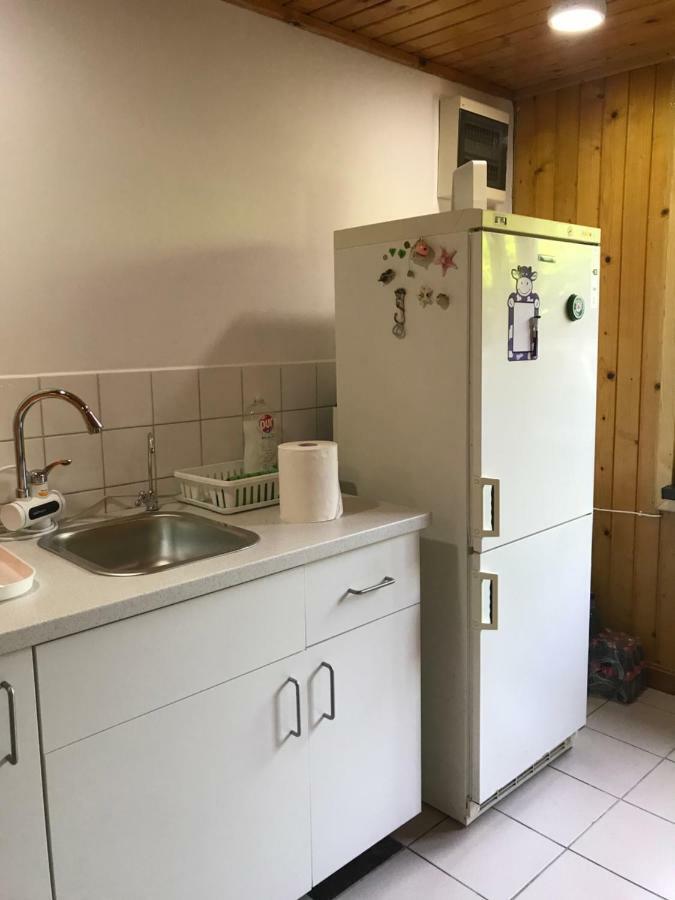 Green Villa コスティネシュティ エクステリア 写真